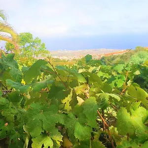 https://casa-eco-rural-rodeada-de-naturaleza-y-vistaswifi.tenerifehoteles.net